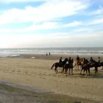 Apartment Flat In Near The Blankenberge