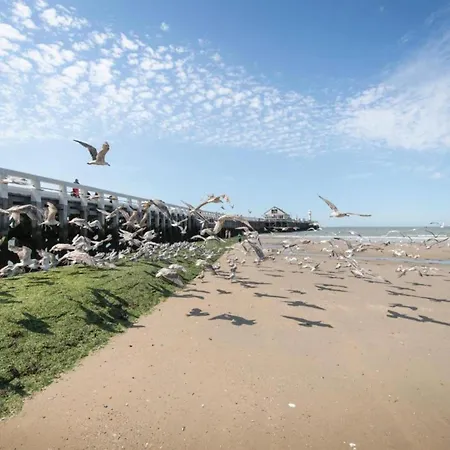 아파트 Flat In Near The *