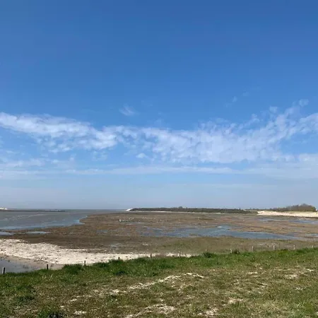 아파트 Flat In Near The