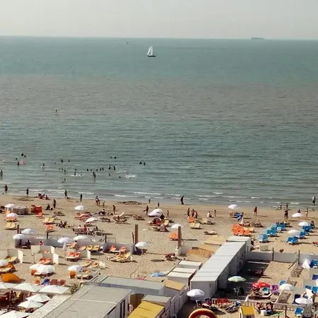 Flat In Near The * 블랑켄베르크