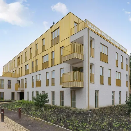 Flat In Near The Blankenberge