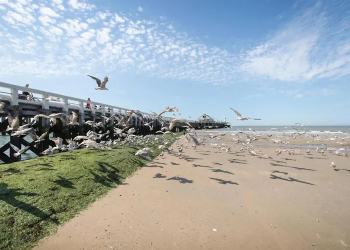 Flat In Near The Διαμέρισμα *