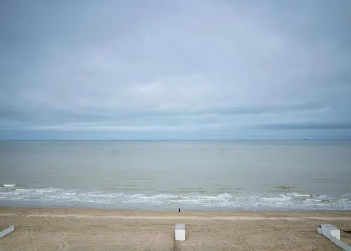 Lägenhet Flat In Near The Blankenberge