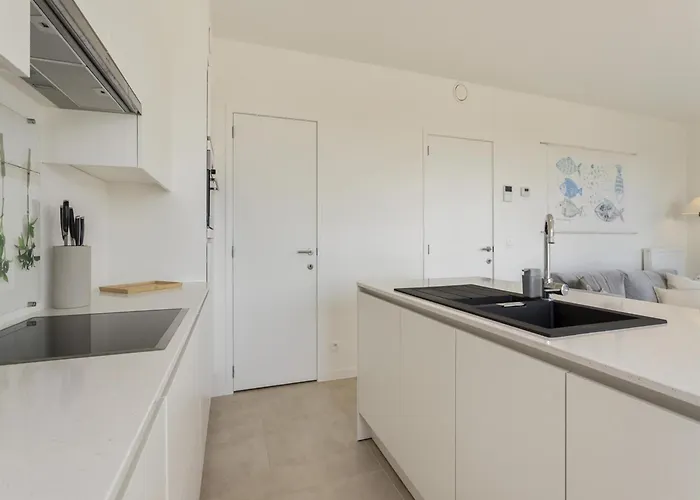 Flat In Near The Lägenhet Blankenberge